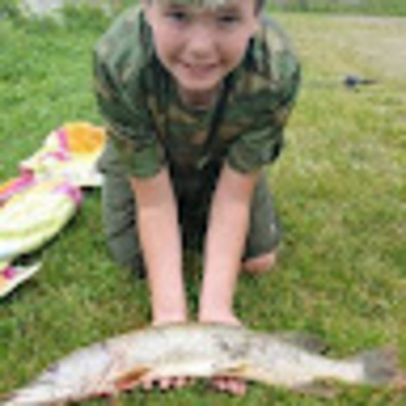 Meet your Posher, Thomas - Picture 1 of 1